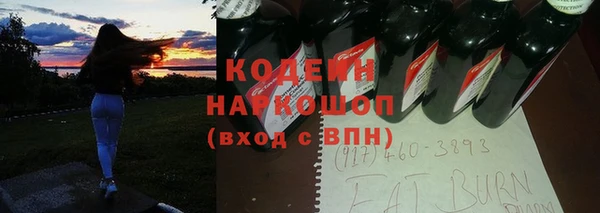 стафф Гусев