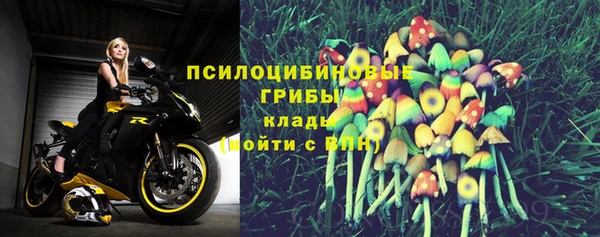 стафф Гусев