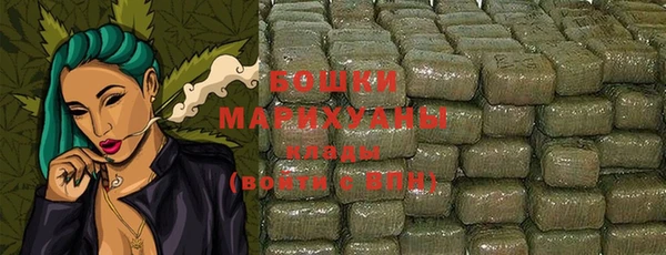 стафф Гусев