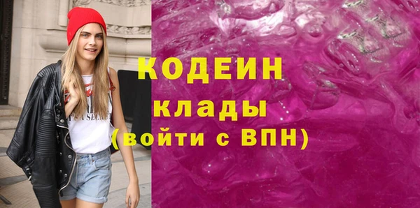 стафф Гусев
