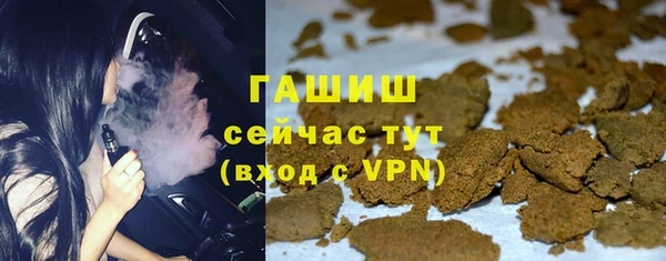 стафф Гусев