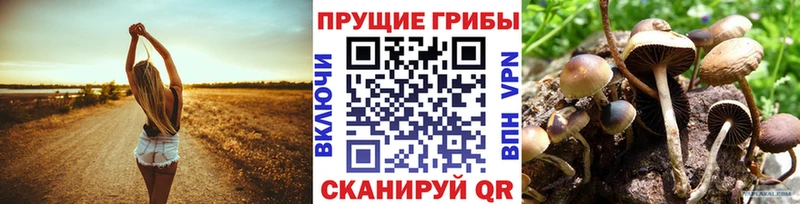 Галлюциногенные грибы GOLDEN TEACHER  Купить закладки  Красный Кут 